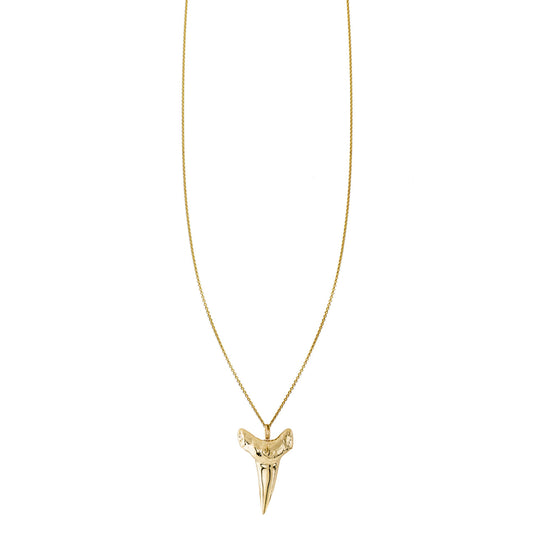 gold shark tooth charm summer necklace PRN 291 14KY