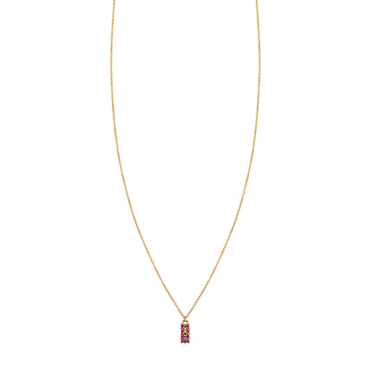 Ruby & Gold Tag Necklace