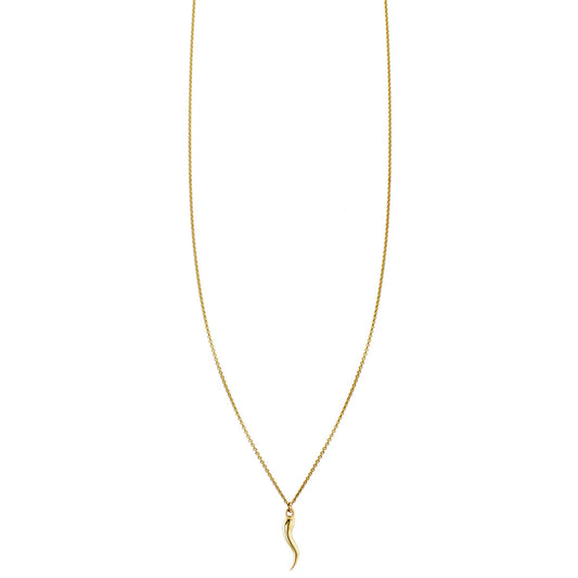 Small gold Italian horn necklace - delicate protective charm jewelry